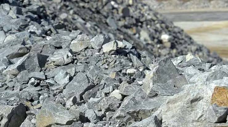 S’ Africa eyes Nigeria’s lithium for electric vehicle revolution, backs bid to join G20