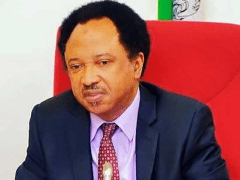 Shehu Sani defends appointment of Ojulari as NNPCL CEO